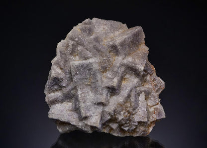 CC17116 specimen image