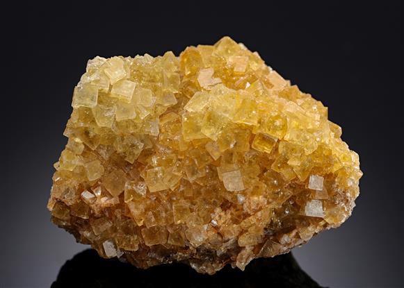 CC17133 specimen image