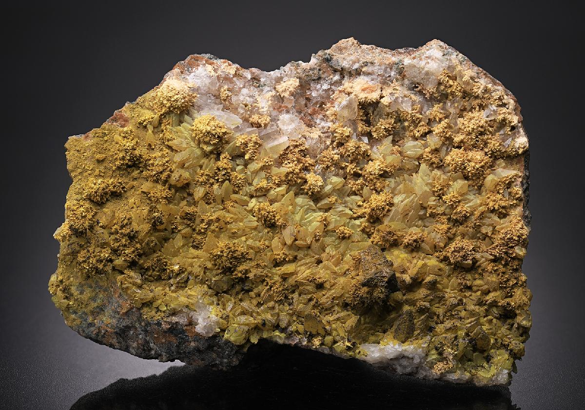 CC17168 specimen image