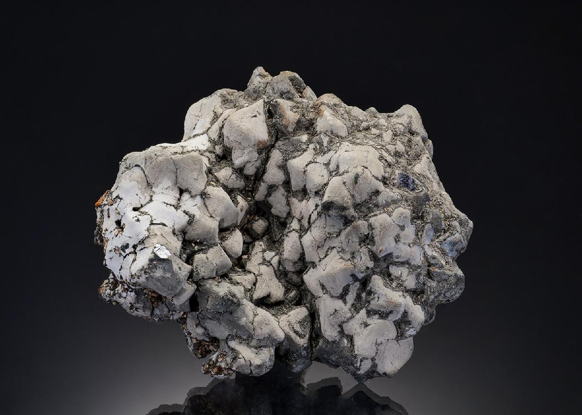 CC17170 specimen image