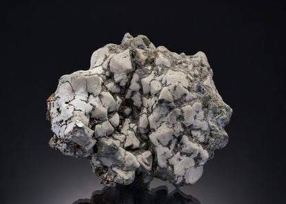 CC17170 specimen image