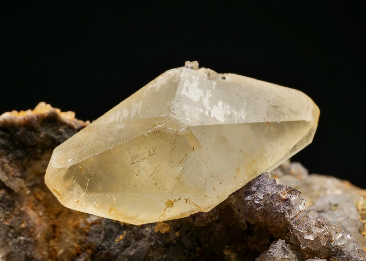 CC17184 specimen image