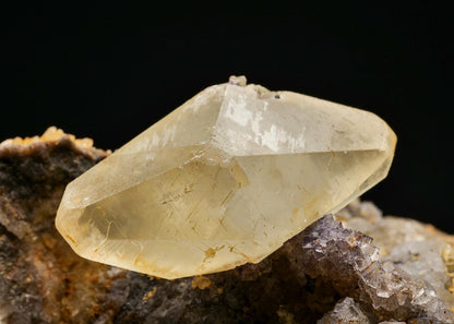 CC17184 specimen image