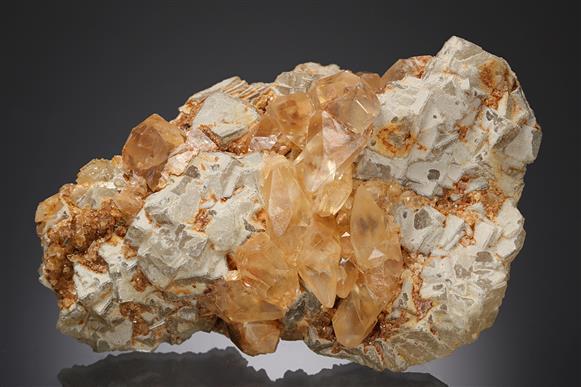 CC17207 specimen image