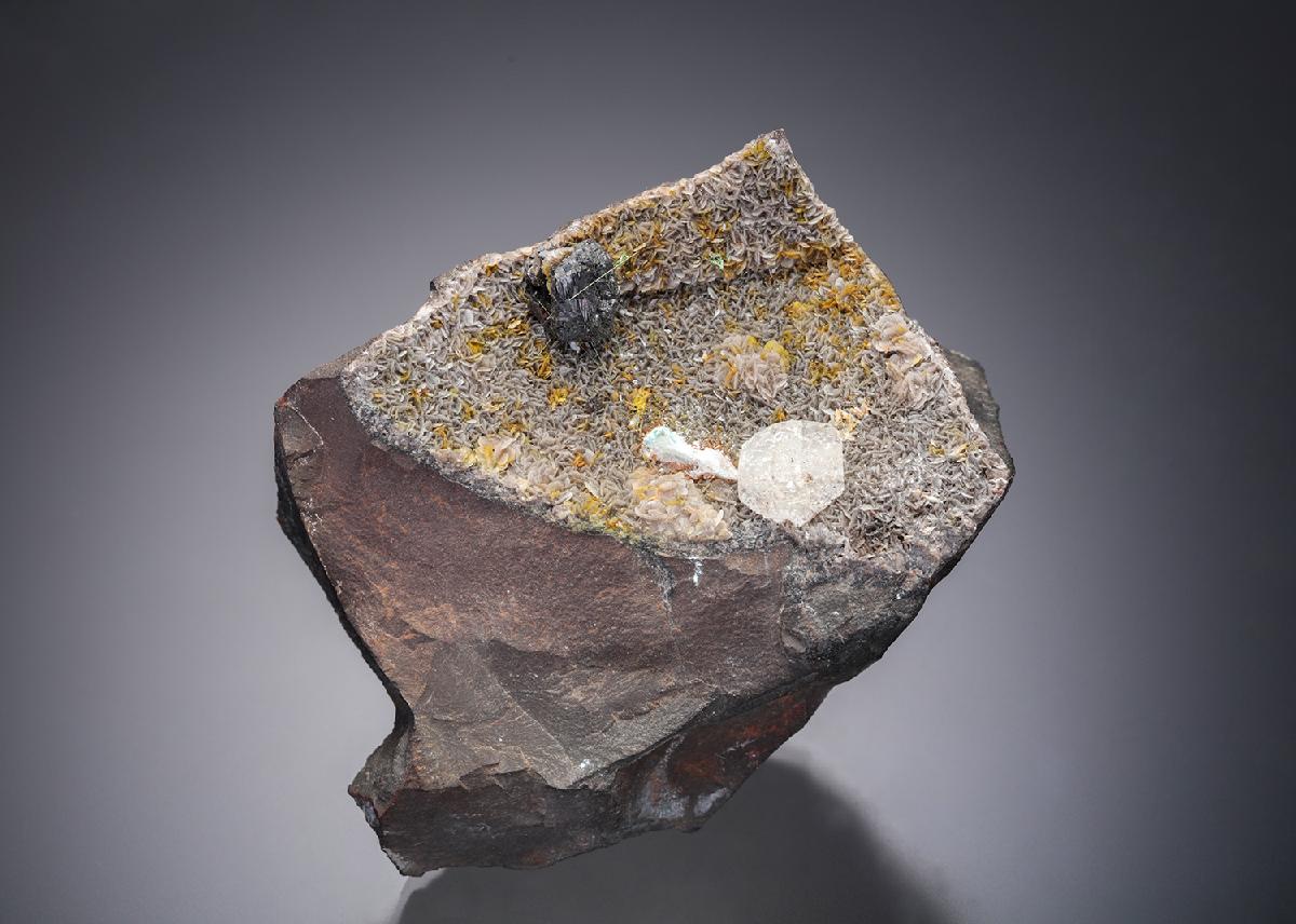 CC17215 specimen image