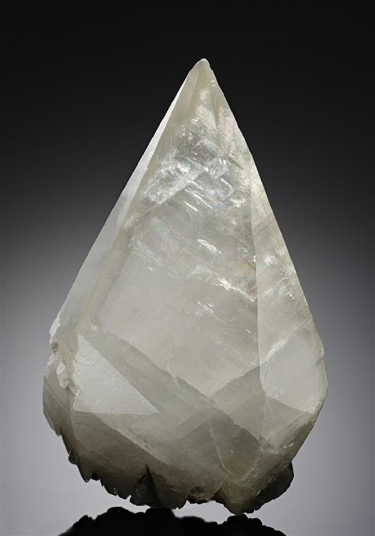 CC17231 specimen image