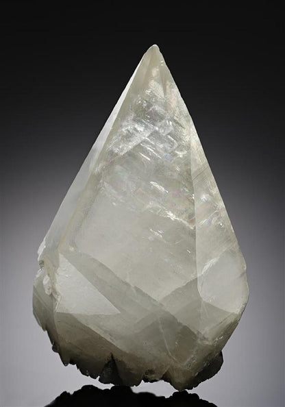 CC17231 specimen image