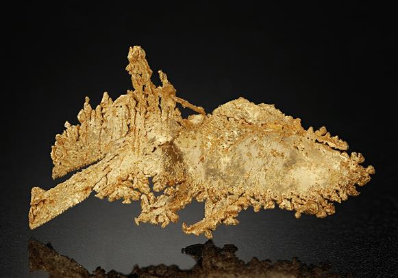 CC17265 specimen image