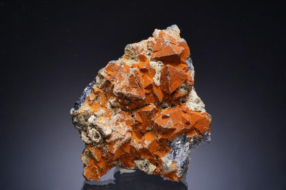 CC17278 specimen image