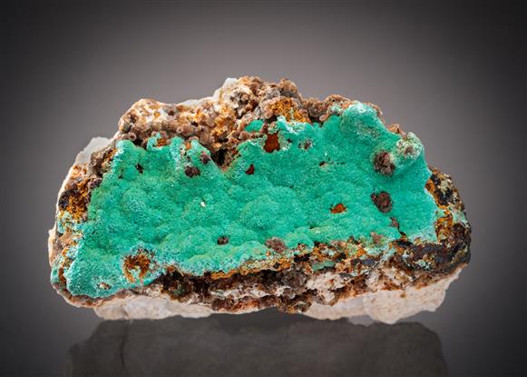 CC17288 specimen image