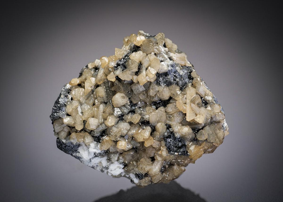 CC17291 specimen image