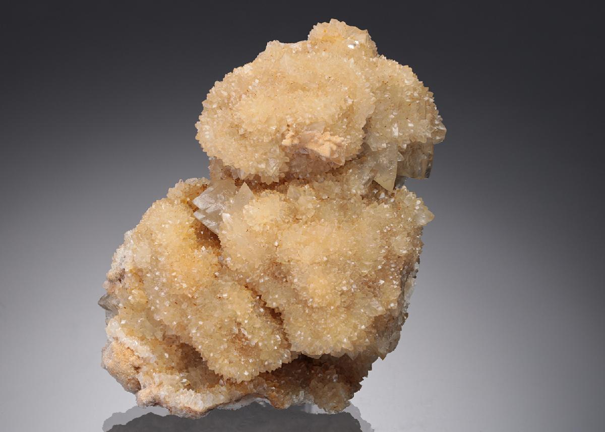 CC17303 specimen image