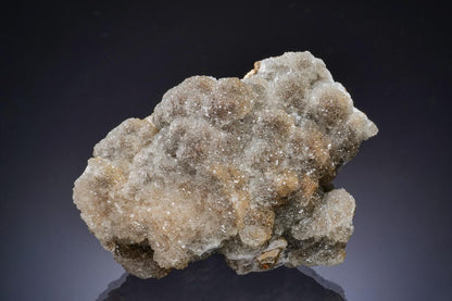 CC17309 specimen image