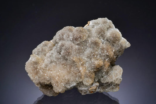 CC17309 specimen image