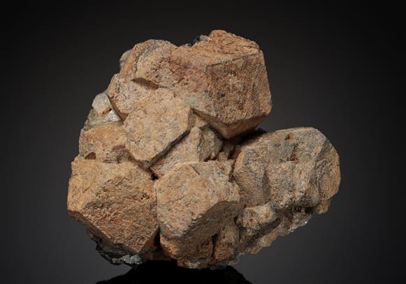 CC17310 specimen image