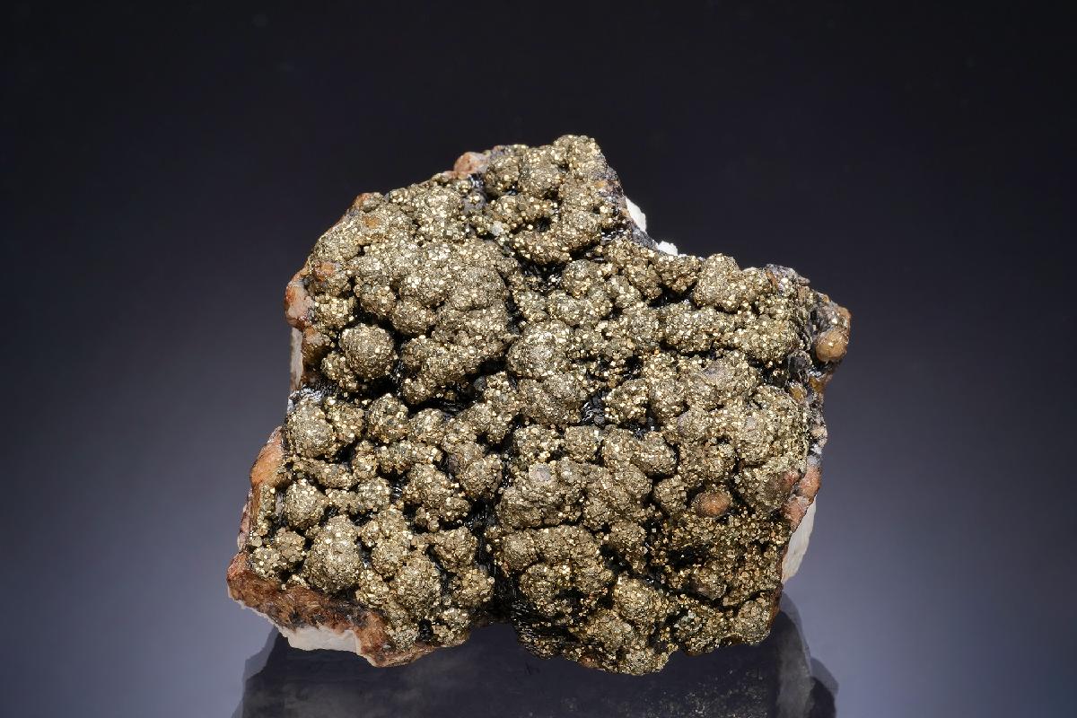 CC17354 specimen image