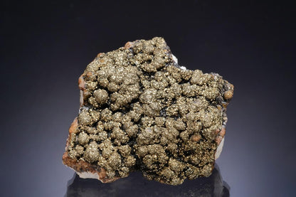 CC17354 specimen image