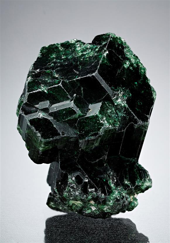 CC17355 specimen image