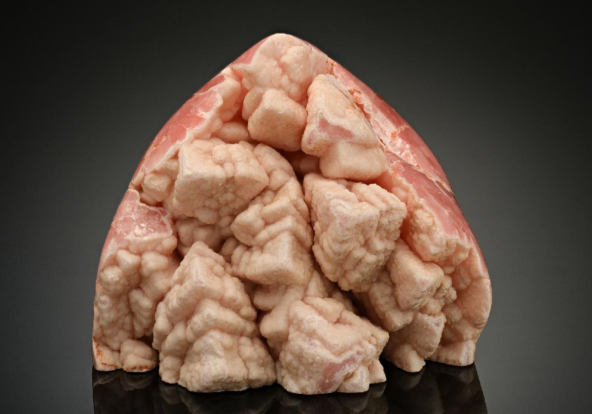 CC17385 specimen image