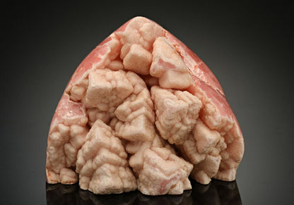 CC17385 specimen image