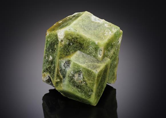 CC17390 specimen image