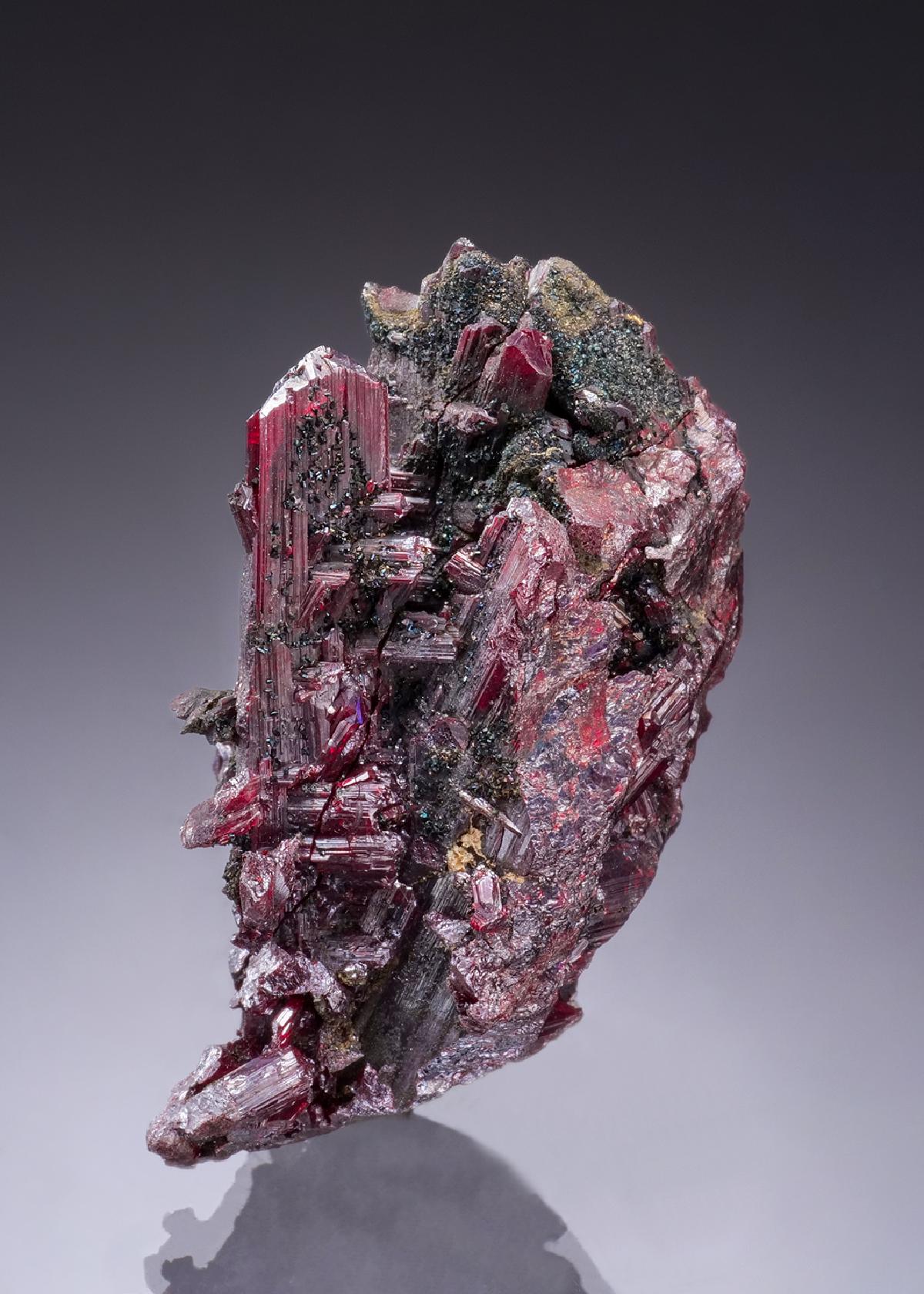 CC17393 specimen image