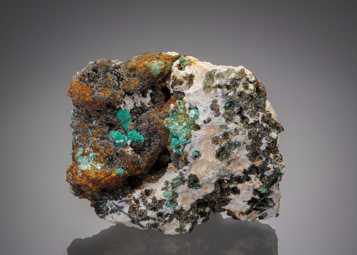 CC17413 specimen image