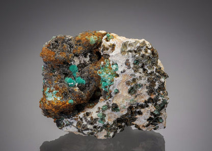 CC17413 specimen image