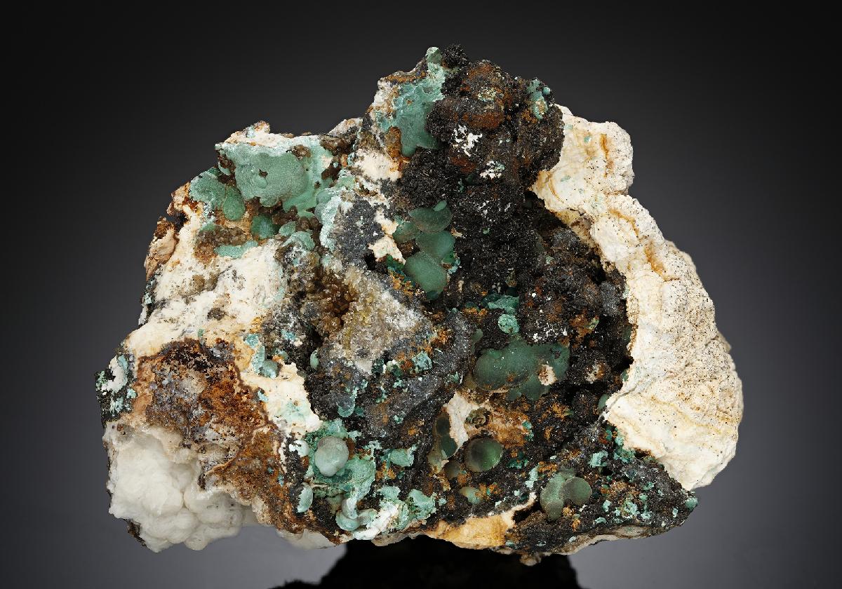 CC17417 specimen image