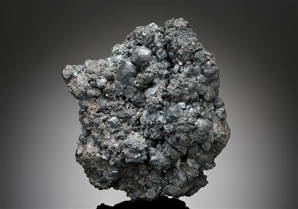 CC17420 specimen image