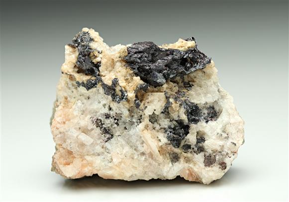 CC17428 specimen image