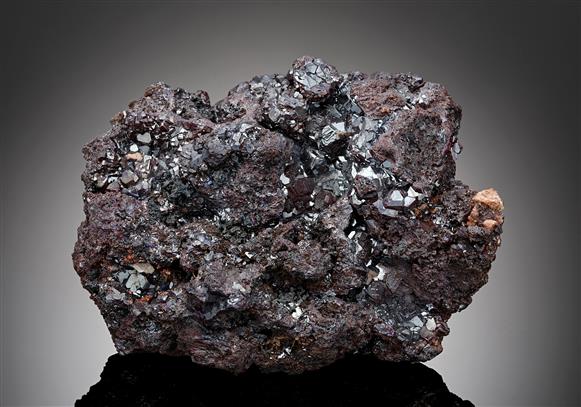 CC17429 specimen image