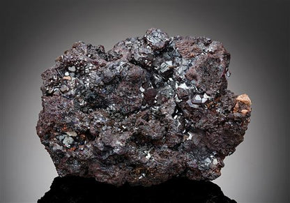 CC17429 specimen image