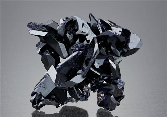 CC17433 specimen image