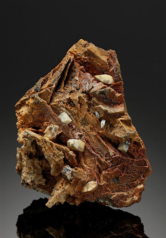 CC17442 specimen image