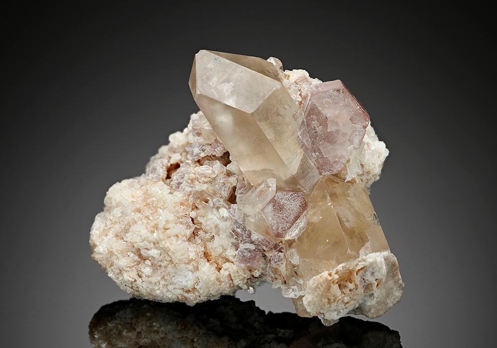 CC17446 specimen image