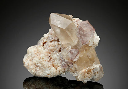 CC17446 specimen image