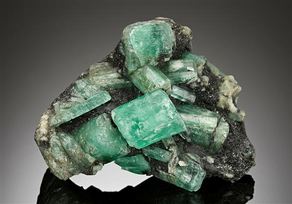 CC17449 specimen image