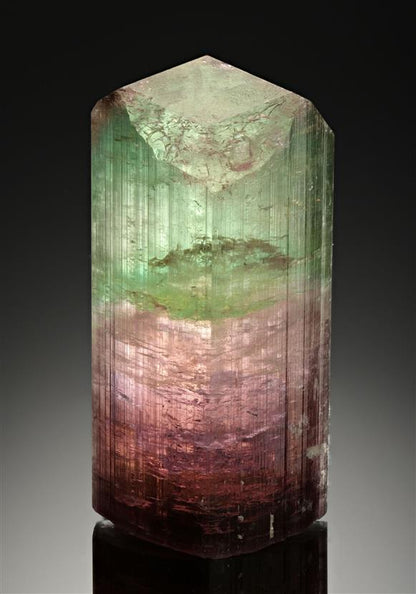 CC17469 specimen image