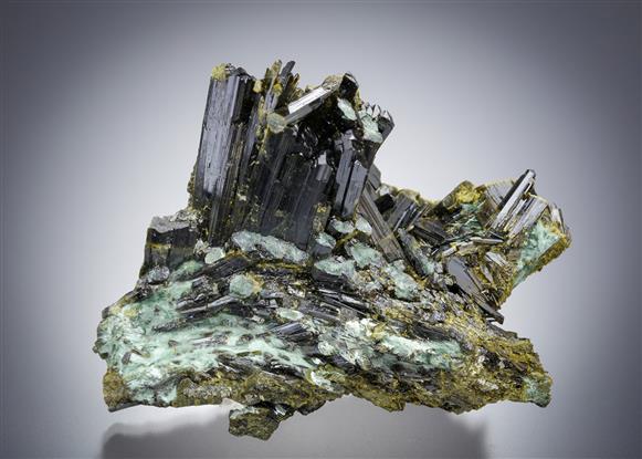 CC17500 specimen image