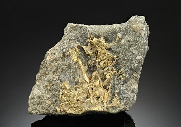 CC17509 specimen image