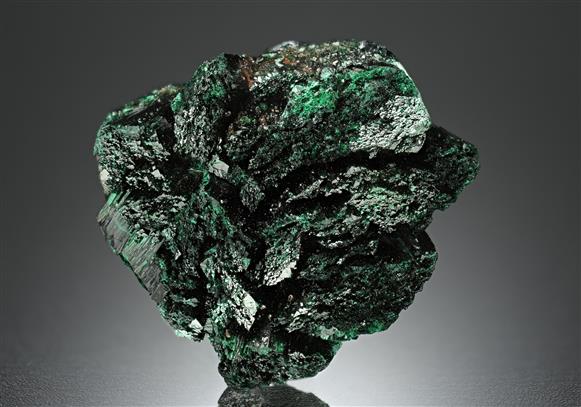 CC17523 specimen image