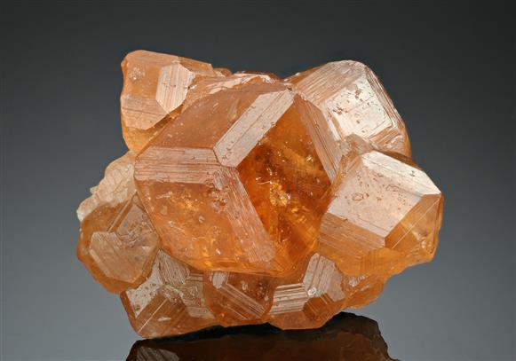 CC17528 specimen image