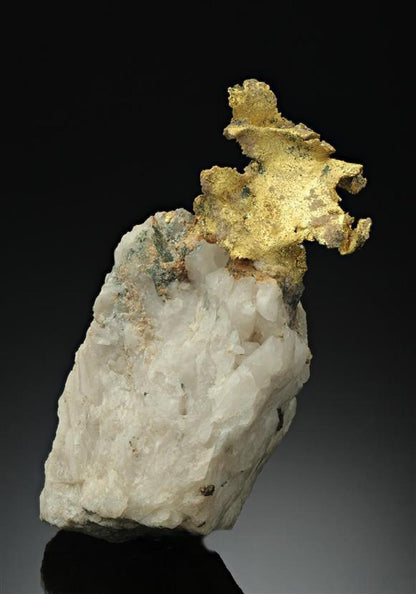CC17529 specimen image