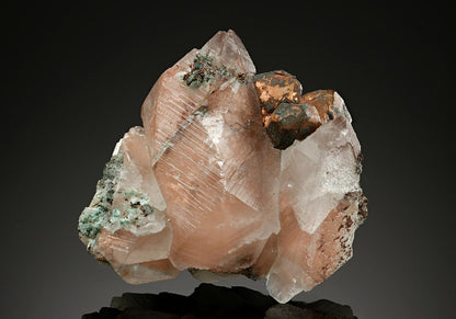 CC17534 specimen image