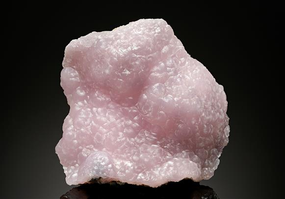 CC17536 specimen image