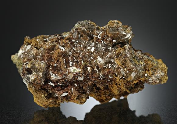 CC17539 specimen image