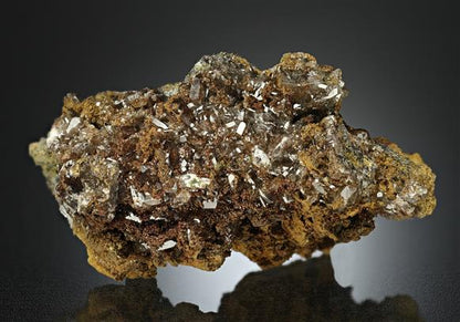 CC17539 specimen image