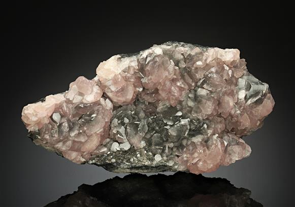 CC17545 specimen image