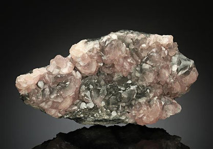 CC17545 specimen image